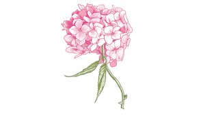 ערב לזכרו של ד"ר חזי כהן